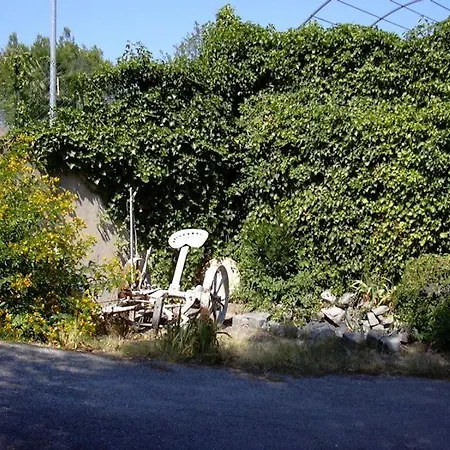 La Bergerie De Vaulongue B&B *
